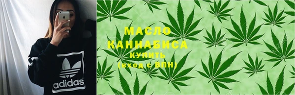 дмт Бородино